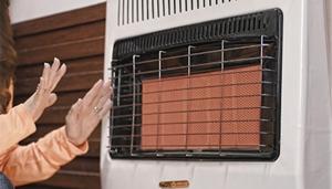 Relacionada b-4665.jpg