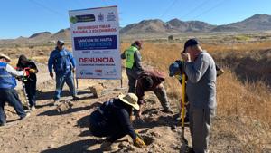 Relacionada img-20251208-wa00642.jpg