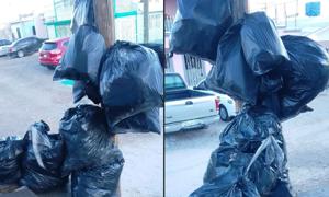 Relacionada whatsapp-image-2025-12-08-at-114152-am.jpg