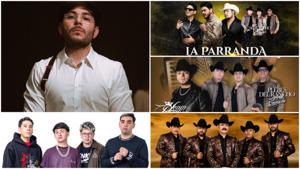 Relacionada inshot_20251208_131544137.jpg