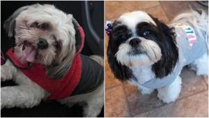 Relacionada principal_fotojet-7.jpg