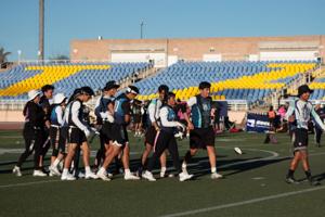 Relacionada tochitoz.jpg