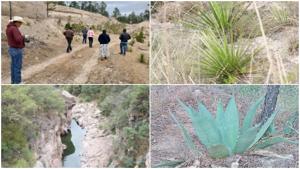 Relacionada area-conservacion.jpg