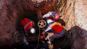 Relacionada principal_whatsapp-image-2025-12-04-at-141030.jpg