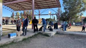 Relacionada 69374434358f1__69374434358f2.jpg