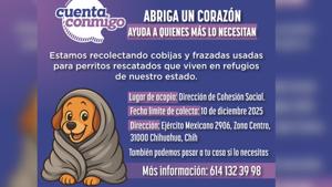 Relacionada photo-output.jpg