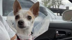 Relacionada fotojet-1.jpg