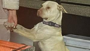 Relacionada whatsapp-image-2025-12-10-at-104240-am.jpg