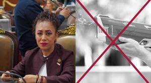 Relacionada diputada-verde.jpg