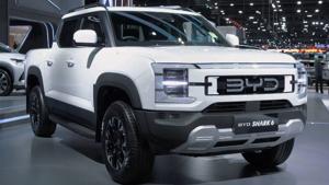 Relacionada shark.jpg