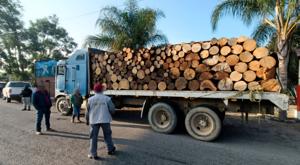 Relacionada camion-madera-profepa.jpg