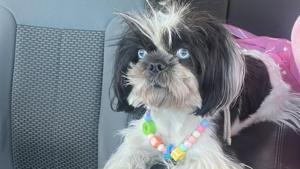 Relacionada whatsapp-image-2025-12-10-at-23707-pm.jpg