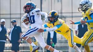 Relacionada chihuahua-americano.jpg