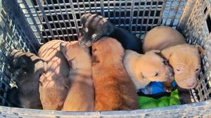 Relacionada whatsapp-image-2025-12-10-at-125614.jpg