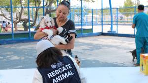 Relacionada a2dc0372-a72d-4a1d-b188-0ac6ea09f9ba.jpg