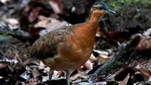 Relacionada g7h1-69bgamw9gh.jpg