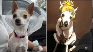 Relacionada fotojet-4.jpg