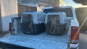 Relacionada a0bd0e11-bbb8-4865-b984-c28d1fe7ba13.jpg