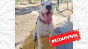 Relacionada whatsapp-image-2025-12-12-at-12803-pm-1.jpg