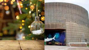 Relacionada navidad-semilla.jpg