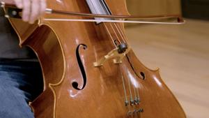 Relacionada meetthecello_poster.jpg