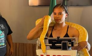 Relacionada img-20251213-wa0162.jpg