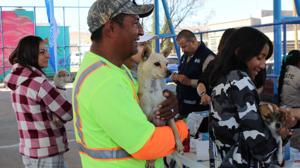Relacionada perros.jpg