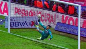 Relacionada 21954.jpg