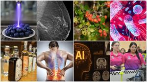 Relacionada fecti-uach-2025.jpg