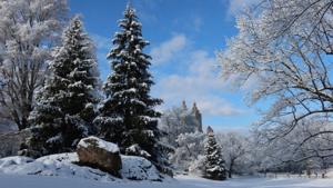 Relacionada new-york.jpg