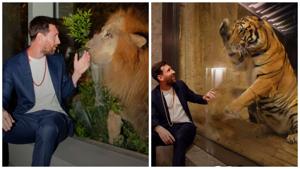 Relacionada d69c5979-9bc8-4c8b-804f-e97f78a4f2c6.jpg