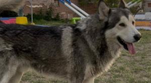 Relacionada neron.jpg