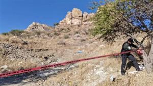 Relacionada 22065.jpg