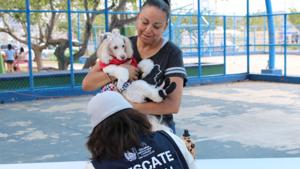 Relacionada perritos.jpg