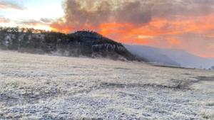 Relacionada 1000244613.jpg