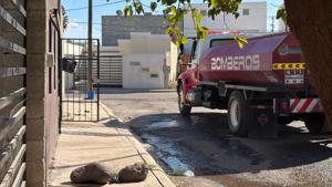 Relacionada inshot_20251216_145314237.jpg