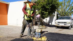 Relacionada img-20251212-wa01092.jpg