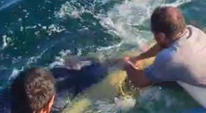 Relacionada descarga-4.jpg