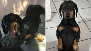 Relacionada fotojet-5.jpg