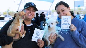Relacionada perros.jpg