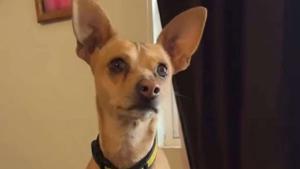 Relacionada fotojet-7.jpg