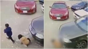 Relacionada fotojet-8.jpg