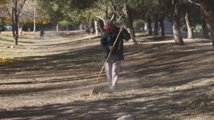 Relacionada 69431eb3dec25__69431eb3dec26.jpg