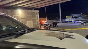 Relacionada whatsapp-image-2025-12-17-at-82419-pm.jpg