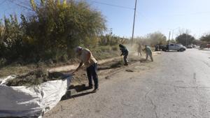 Relacionada 694432e339b20__694432e339b21.jpg