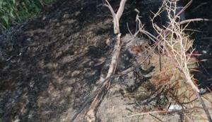 Relacionada 6943913f0293b__6943913f0293c.jpg