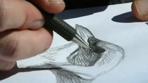 Relacionada dibujo.jpg