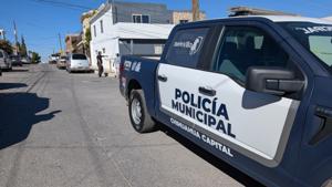 Relacionada inshot_20251218_141617838.jpg