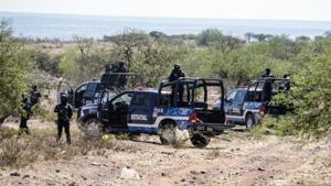 Relacionada 6943785bb5cbf.jpg