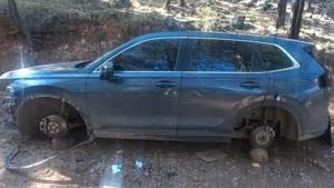 Relacionada 22302_20251218170337018.jpg